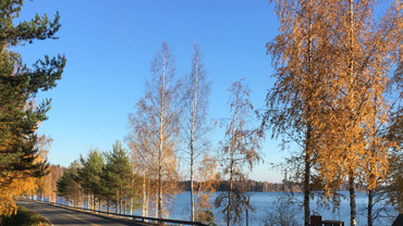 Kiteen Rantatie syksyllä, näkyy tietä ja Kiteenjärven rantaa, syksyiset värit puissa