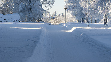 Talvisessa lumisessa maisemassa polku.